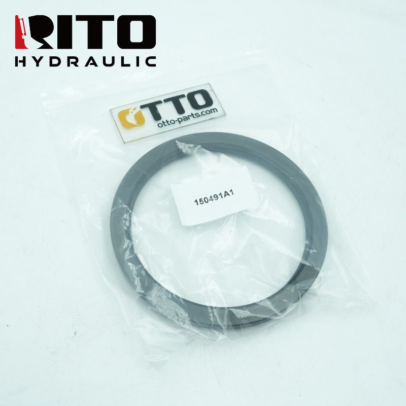 150491A1 bearing
