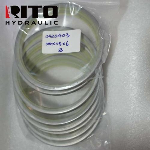 0420403 RING WIPER