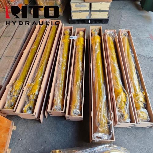 R210-9-DBYGZC Boom Cylinder Assembly