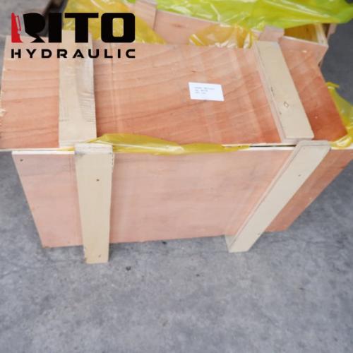 R210-7-YYBZC Hydraulic Valve